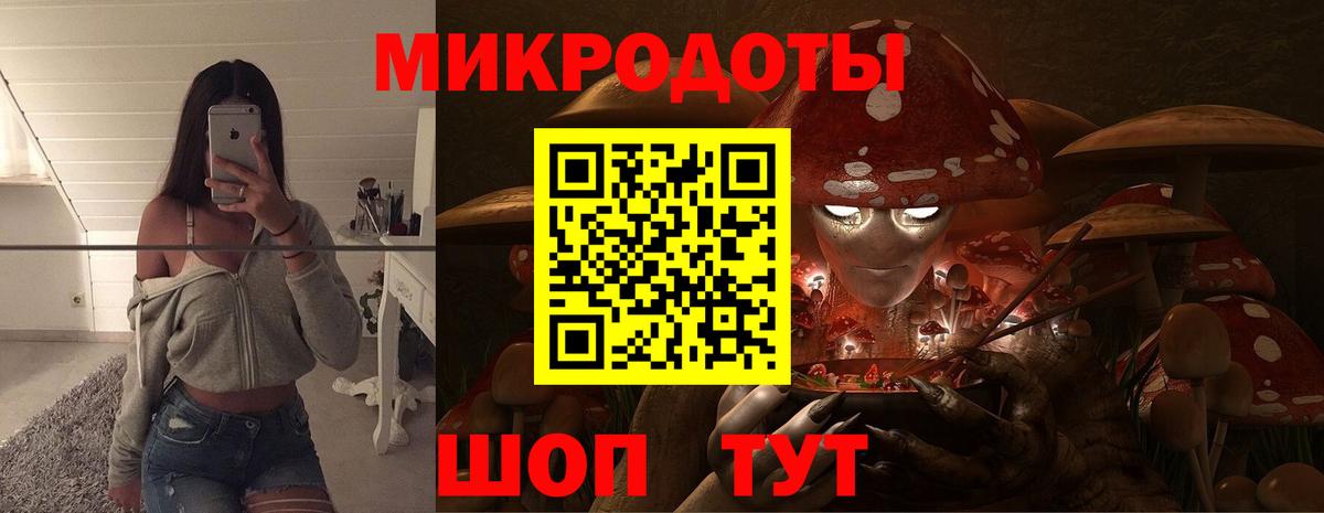 Псилоцибиновые грибы Psilocybine cubensis Торжок