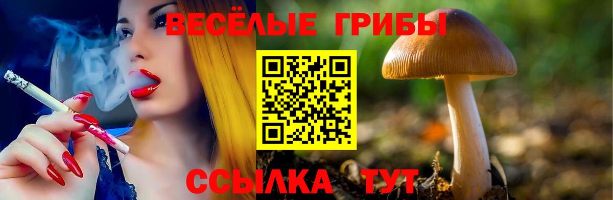 цена наркотик  Вход с VPN  Торжок  Галлюциногенные грибы Psilocybine cubensis 